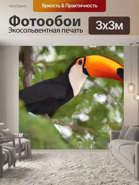 Фотообои Тукан