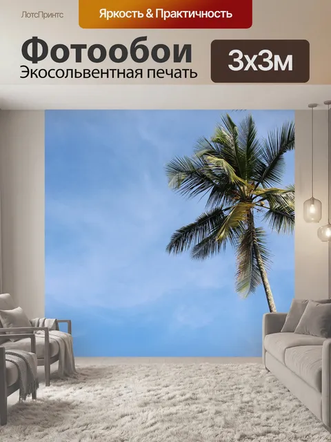 Фотообои Пальма