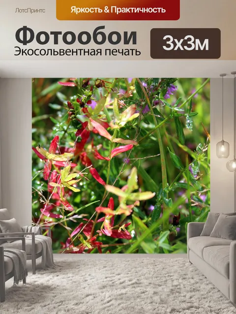 Фотообои Растительность