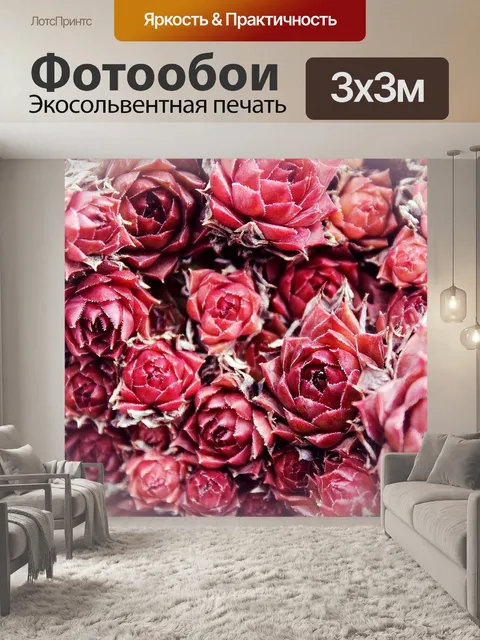Фотообои Розы