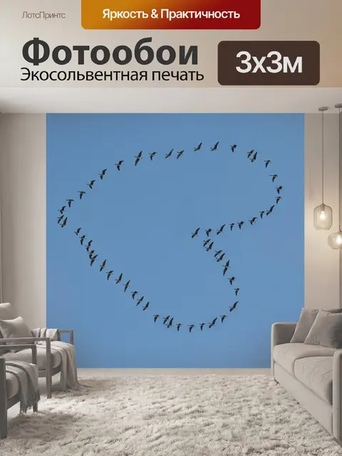 Фотообои Птицы