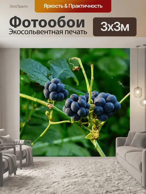 Фотообои Лес