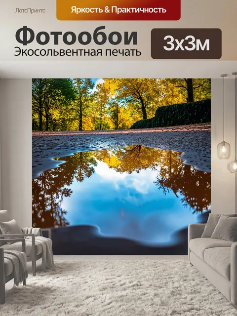 Фотообои лужа, отражающая небо и окружающие деревья, с акцентом на текстуру земли вокруг