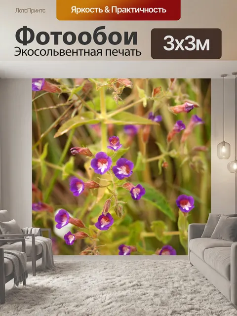Фотообои Цветки одичалые Стоковая Фотография