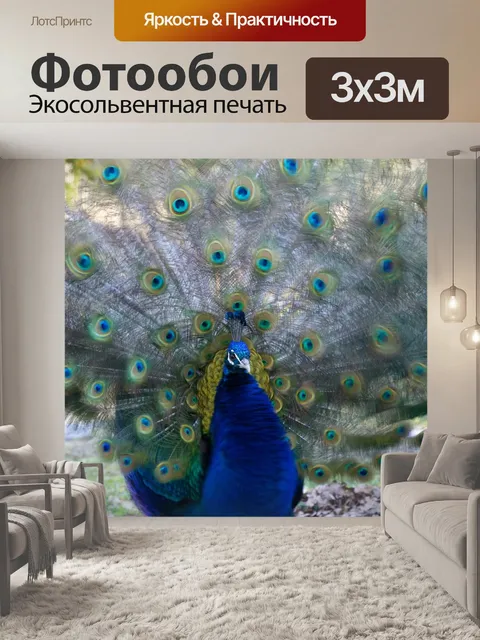 Фотообои Павлин