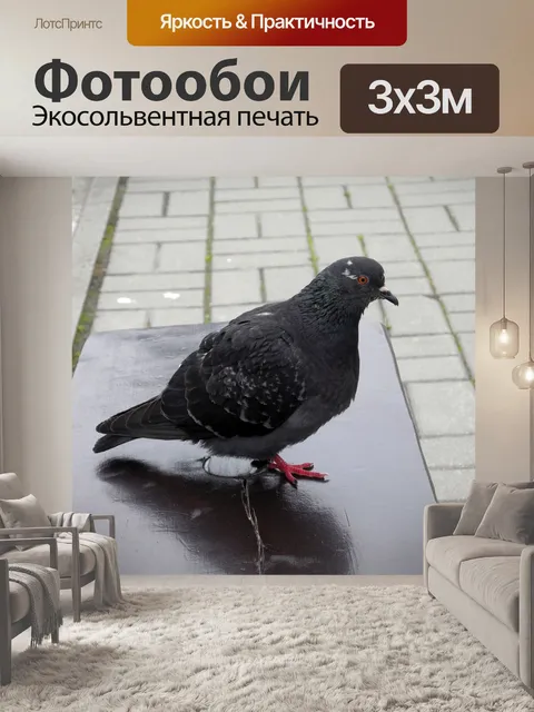 Фотообои Птицы