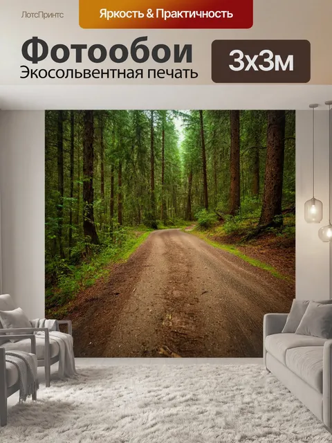 Фотообои лес с старыми лесными дорогами, используемыми для походов