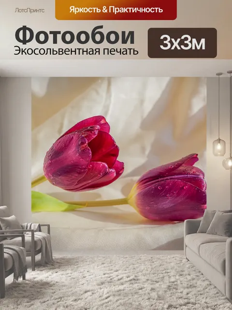 Фотообои Тюльпаны