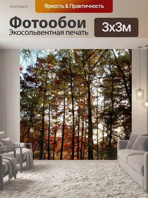 Фотообои Лес
