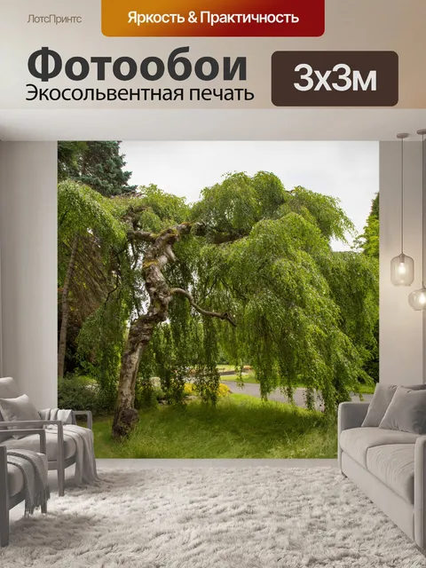 Фотообои Только дерево