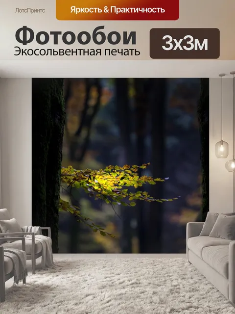 Фотообои Осень