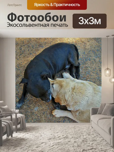 Фотообои грызть собаки