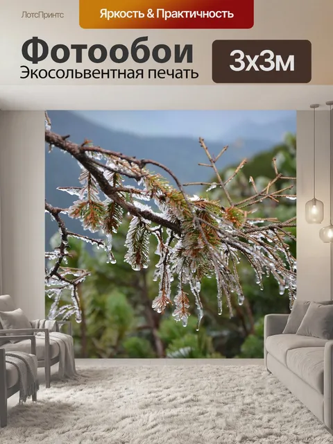 Фотообои Зима