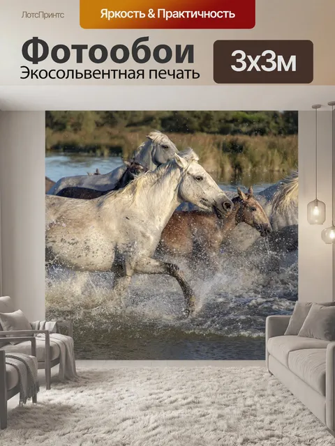 Фотообои Лошади