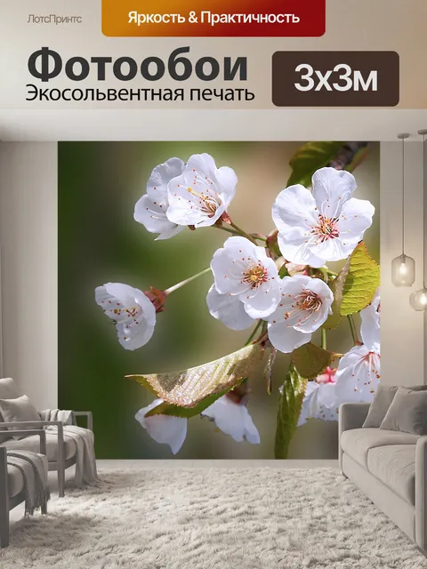 Фотообои Цветок