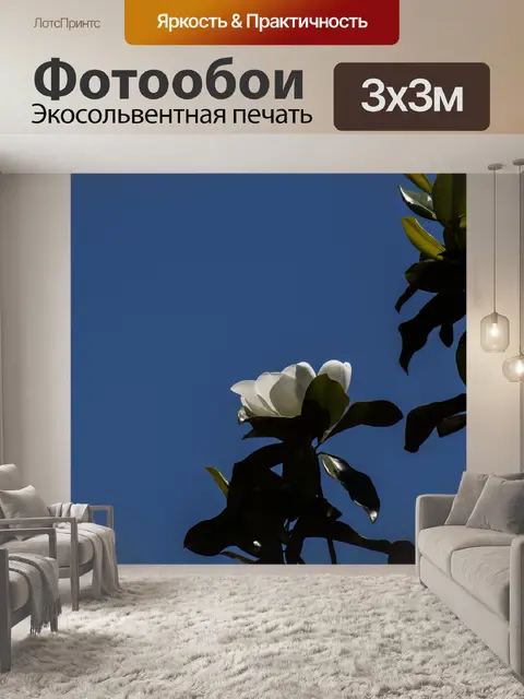 Фотообои Магнолия Blossum Blue Sky