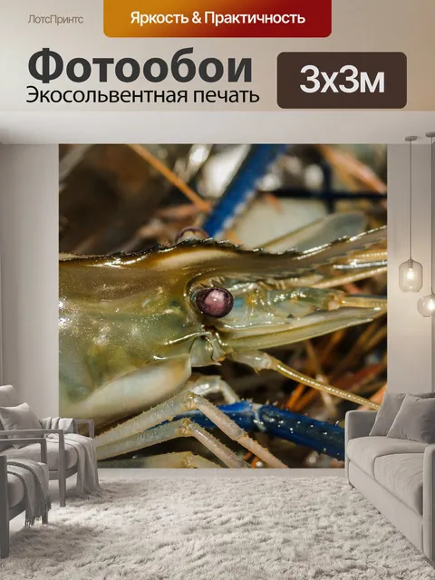 Фотообои Свежие приготовленные креветки фон мореп