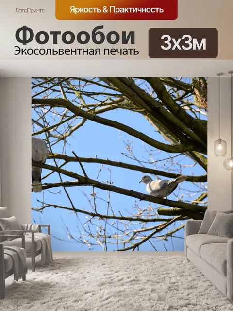 Фотообои Любовь птиц