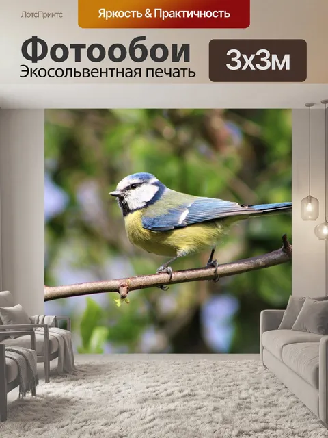 Фотообои Птица