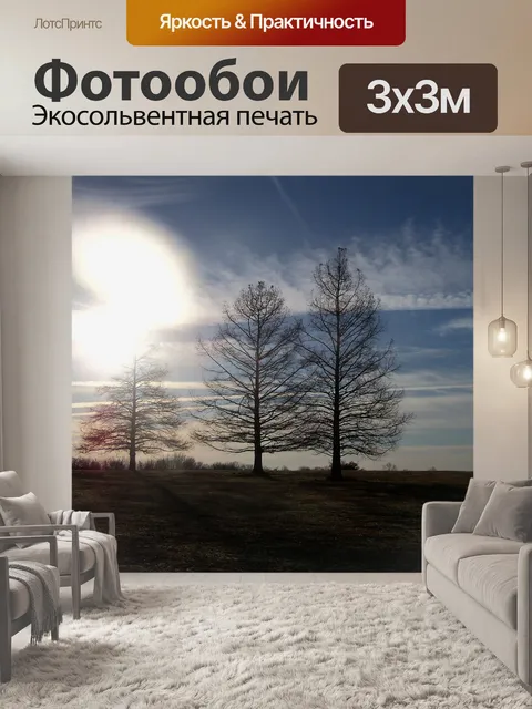 Фотообои Деревья