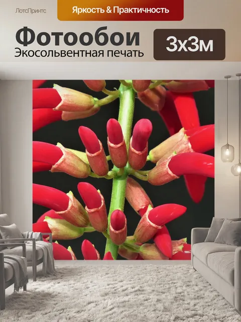 Фотообои Цветы