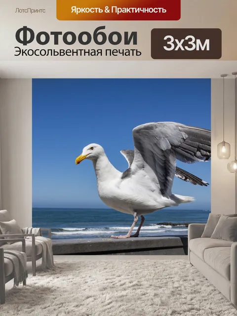 Фотообои чайка