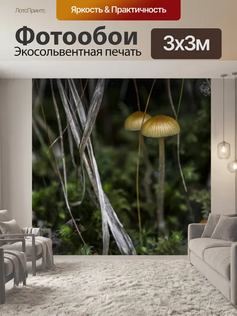 Фотообои Гриб