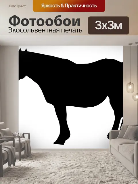 Фотообои Силуэт