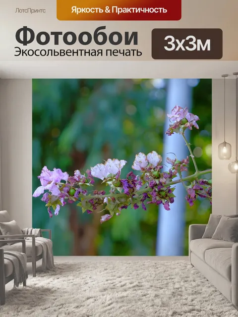 Фотообои Цветы