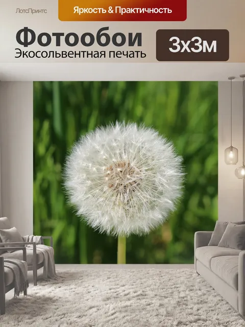 Фотообои Одуванчик