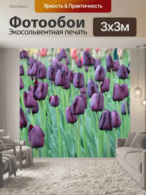 Фотообои Лила тюльпаны