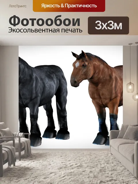 Фотообои Лошадь