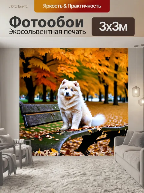 Фотообои самоед щенок изящно сидит на старой деревянной скамейке в парке, покрытой листвой