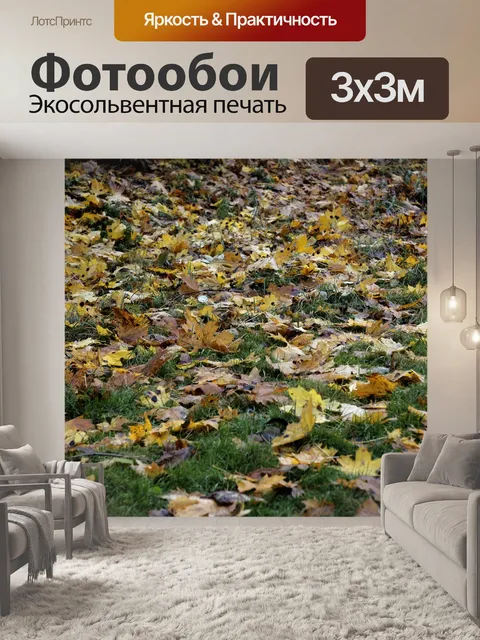 Фотообои Осень