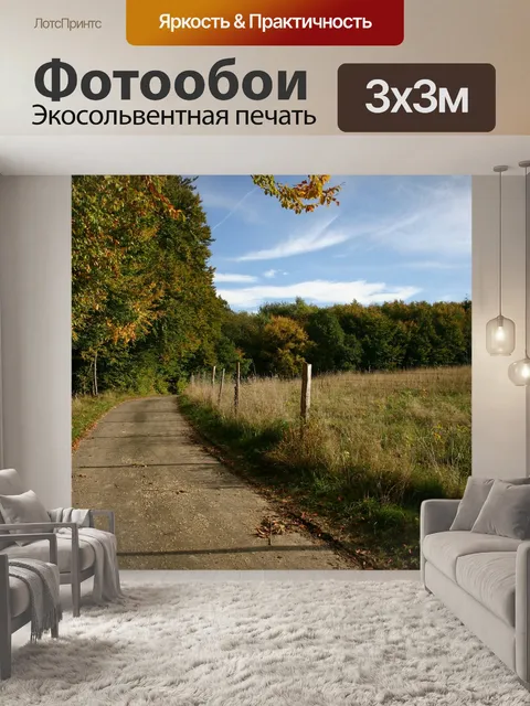 Фотообои Лес