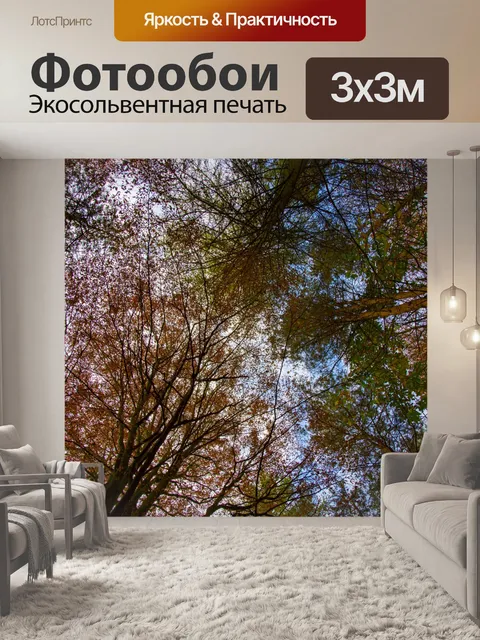 Фотообои деревья