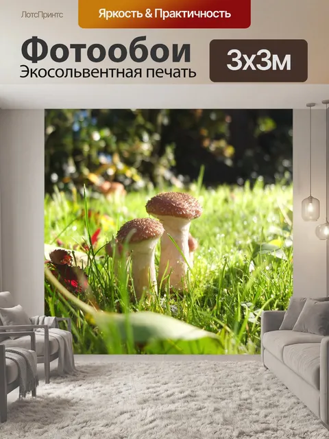 Фотообои Грибы