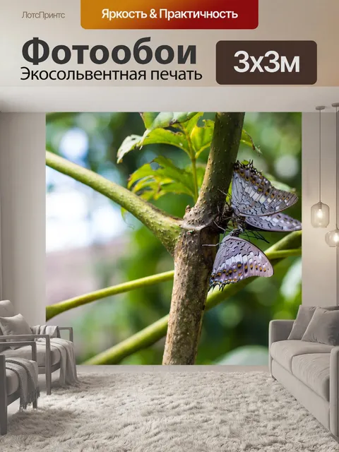 Фотообои Дерево