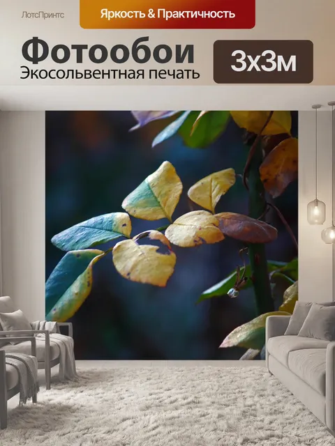 Фотообои изменение цвета сложных листьев