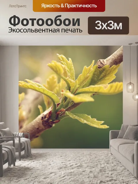 Фотообои Дерево