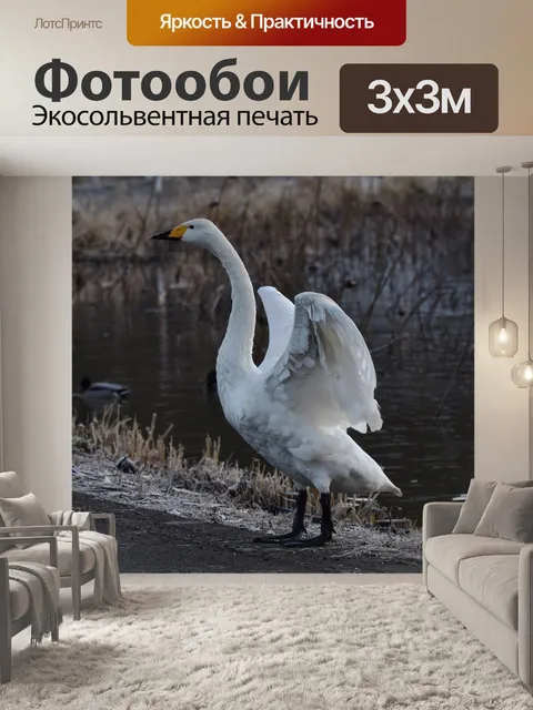 Фотообои Животное