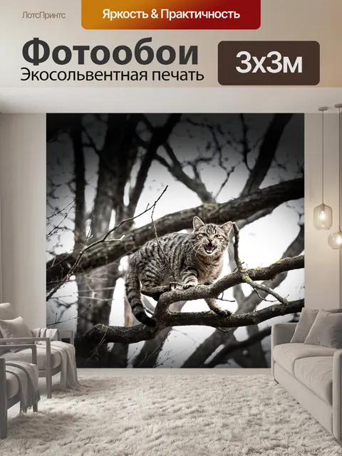 Фотообои Природа