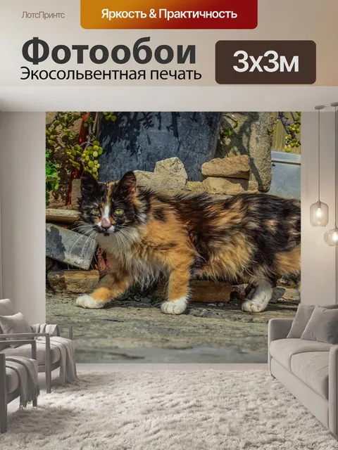 Фотообои Кошка