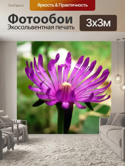 Фотообои Цветы