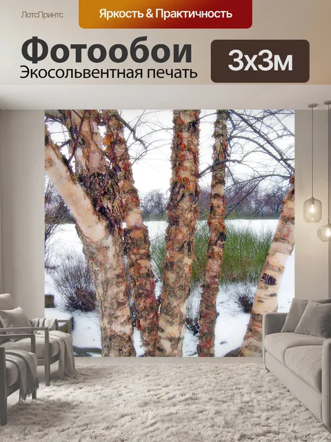 Фотообои Деревья с рыхлой Барк