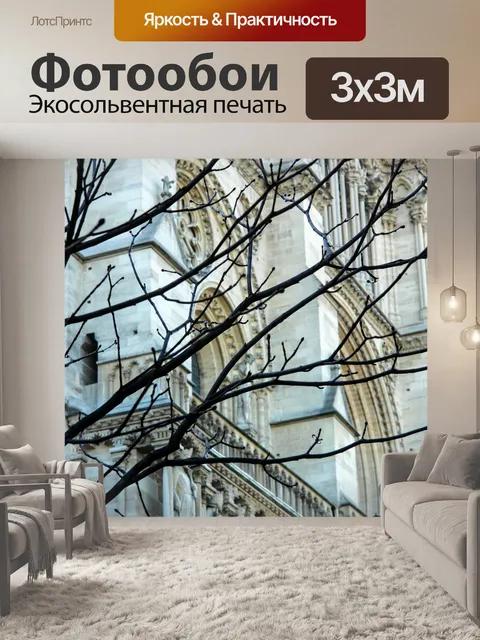 Фотообои Париж