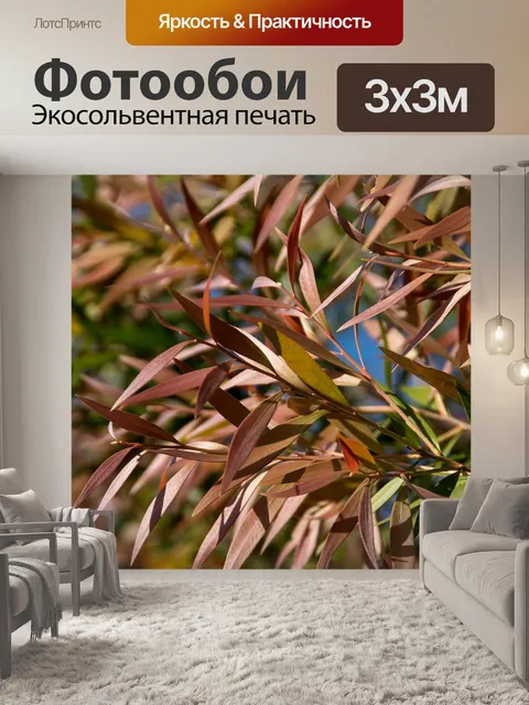 Фотообои Листья