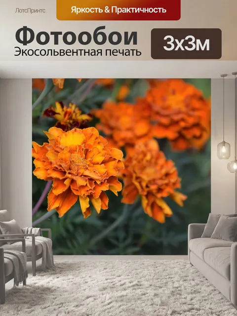 Фотообои Цветы