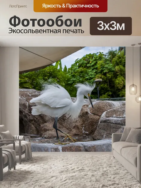 Фотообои Снежная цапля