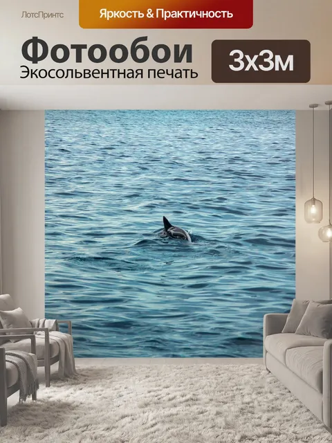 Фотообои Дельфин